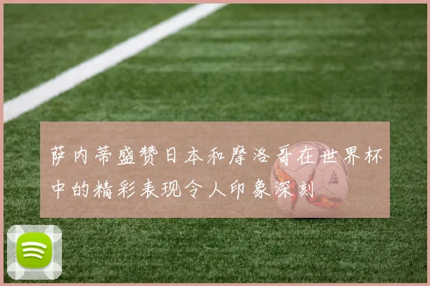 萨内蒂盛赞日本和摩洛哥在世界杯中的精彩表现令人印象深刻