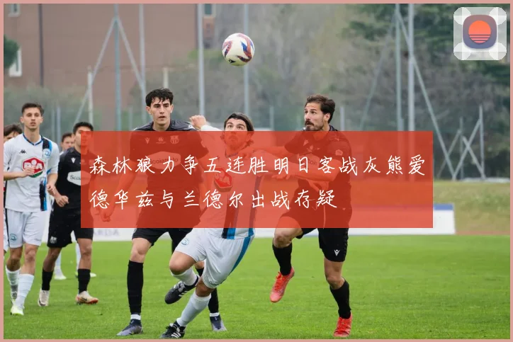 森林狼力争五连胜明日客战灰熊爱德华兹与兰德尔出战存疑